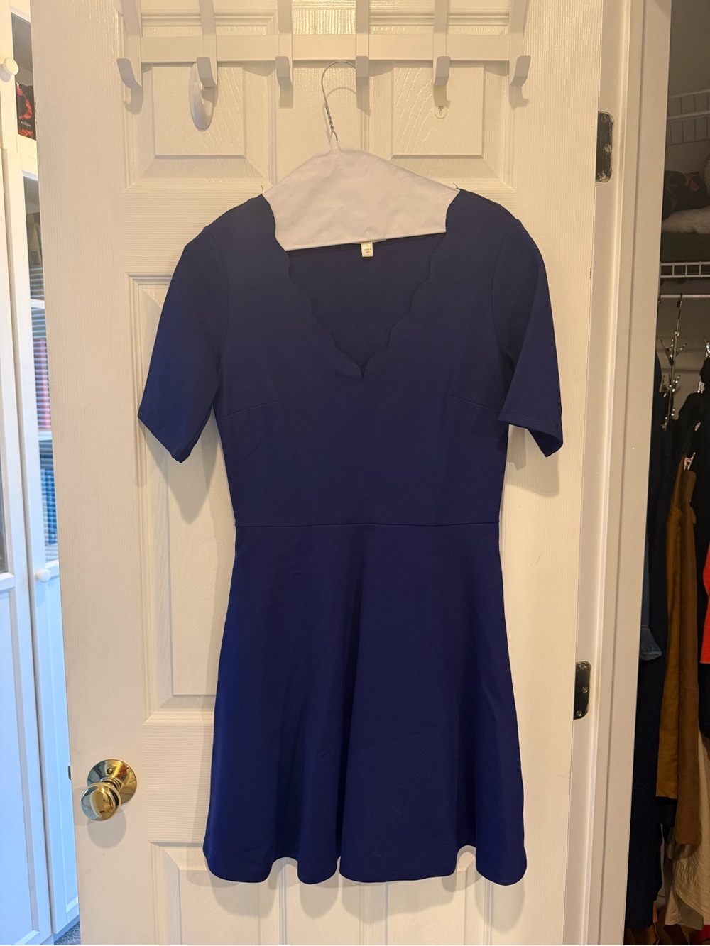 nine britton Scalloped V-Neck Fit & Flare Dress in Royal Blue